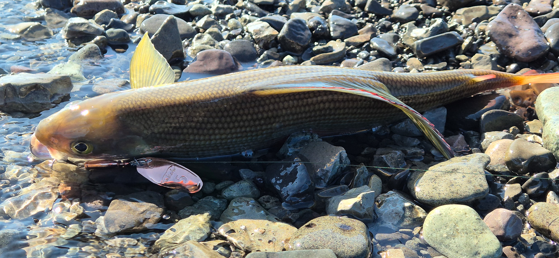 Хантайское озеро