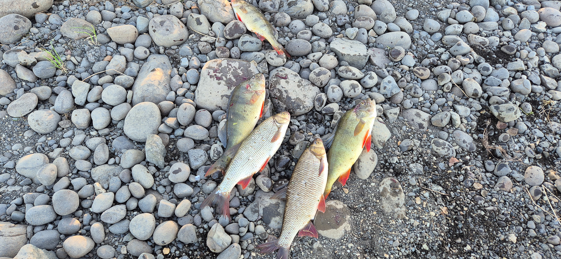 Хантайское озеро