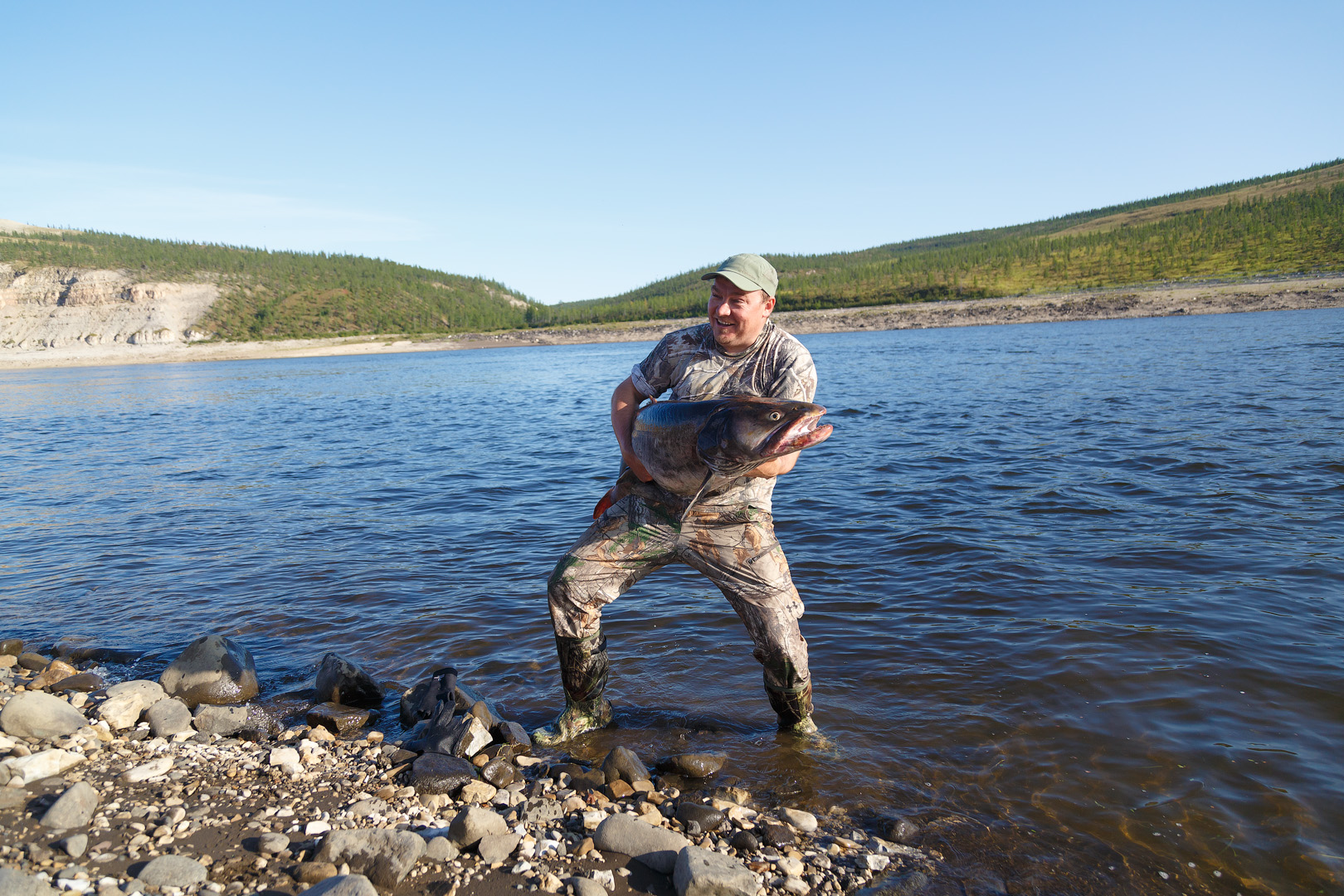 трофейный таймень