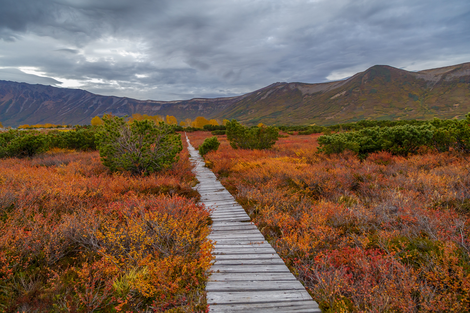 кальдера Узон