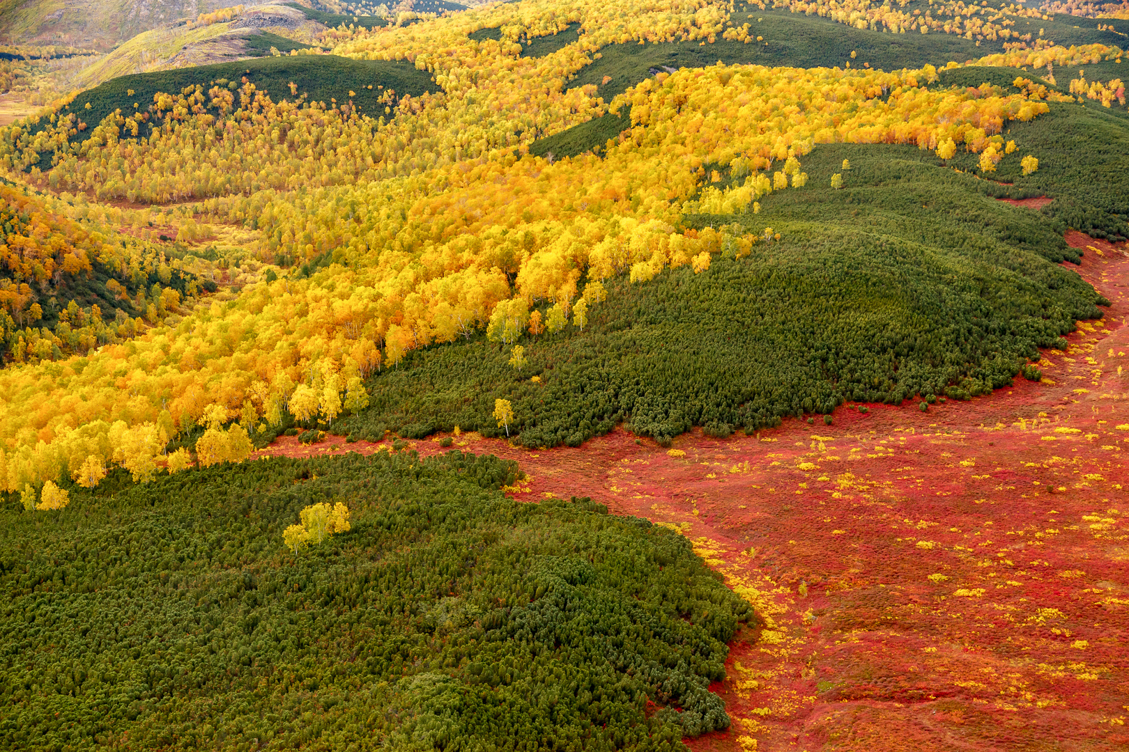 осенняя Камчатка
