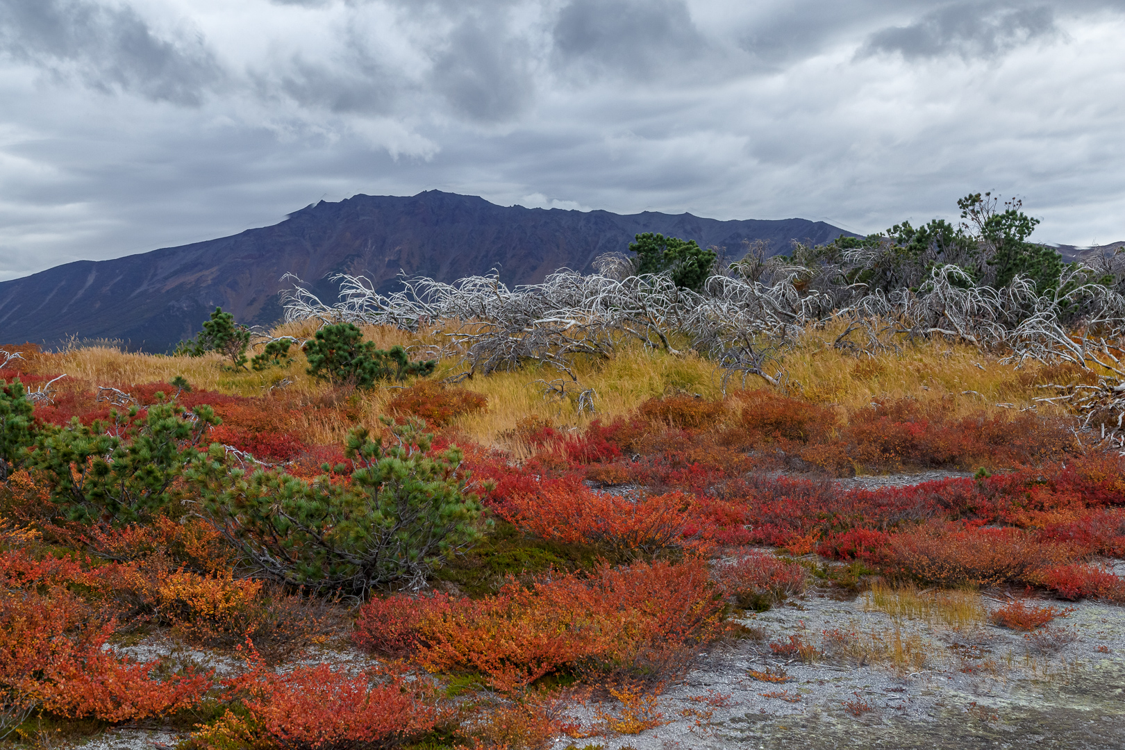 кальдера Узон