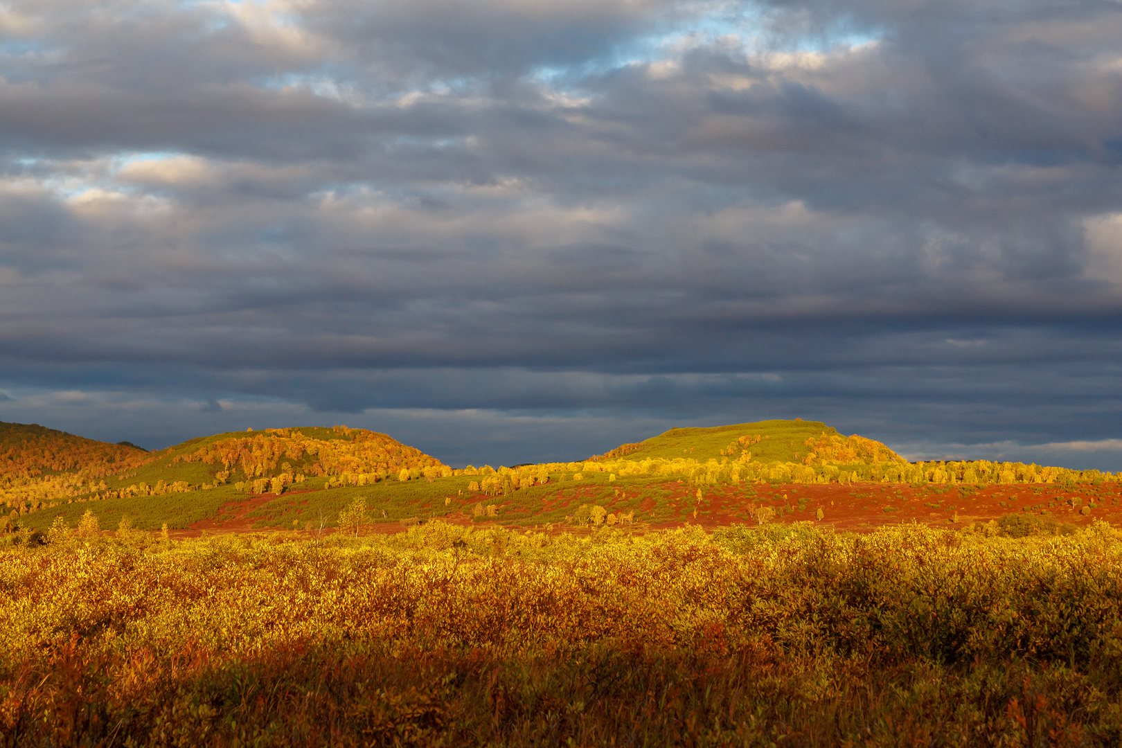 река Жупанова