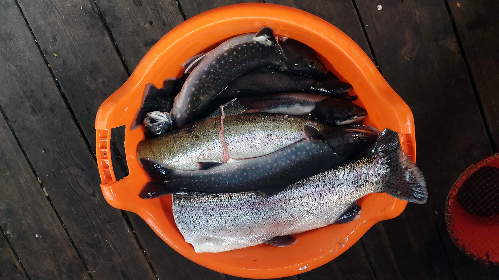 река Жупанова