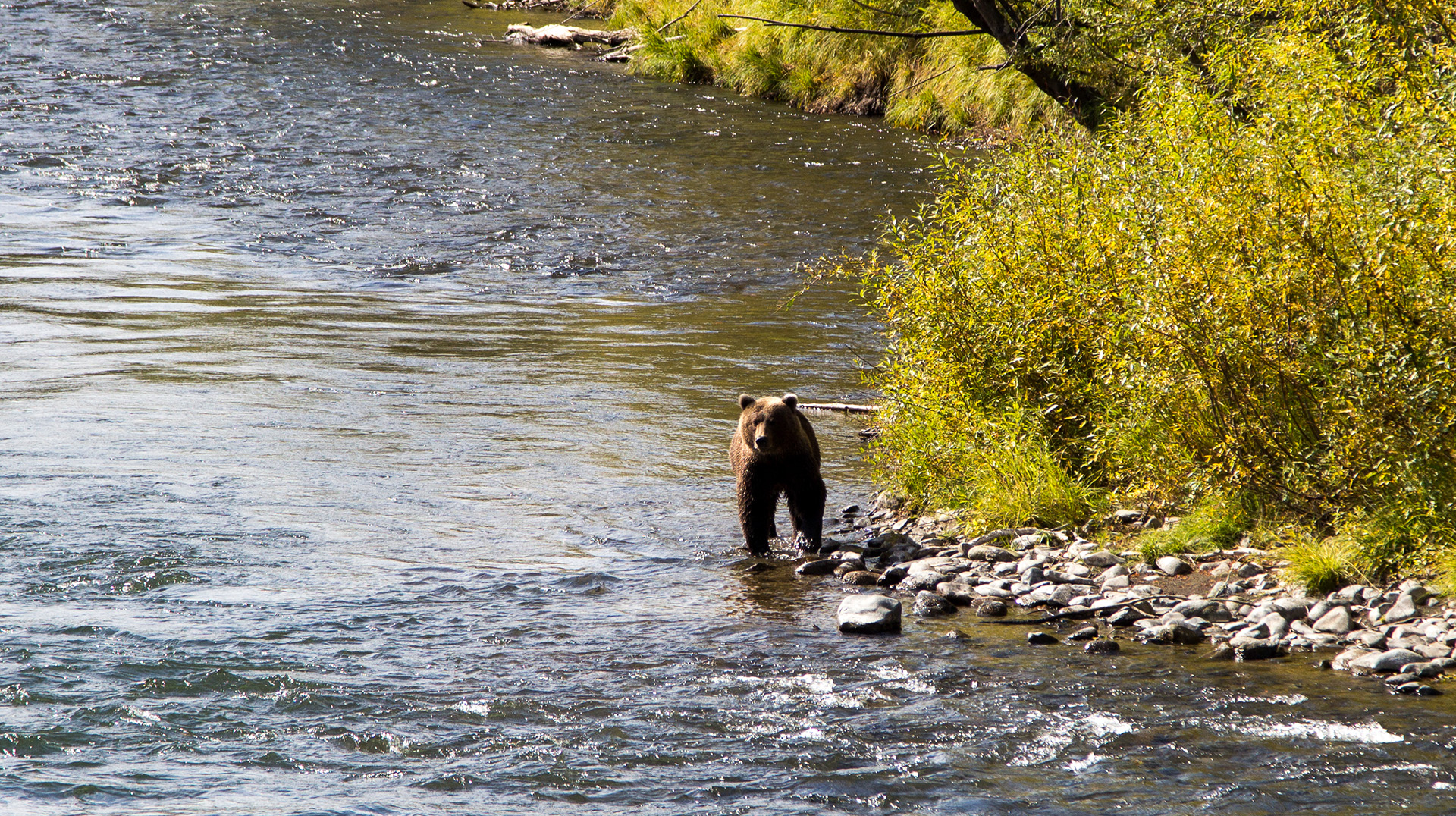 река Жупанова