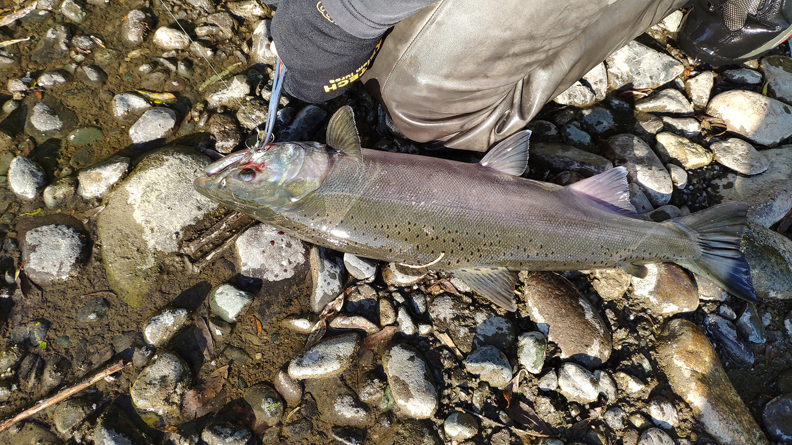 река Жупанова