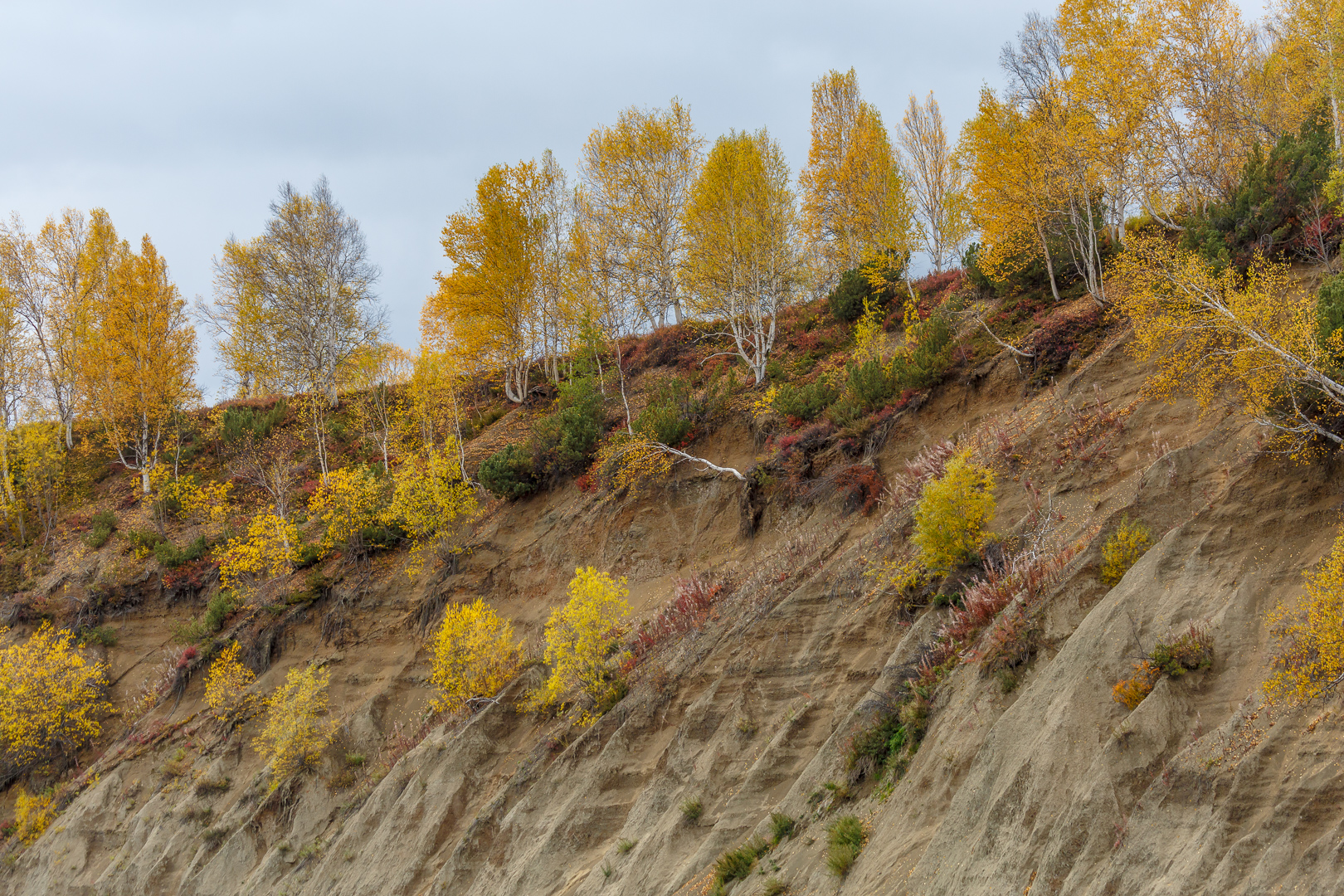 река Жупанова