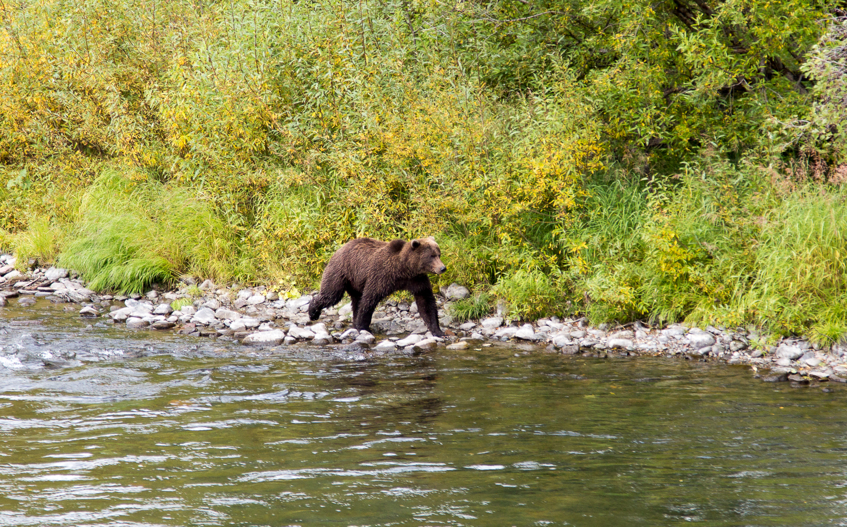 река Жупанова