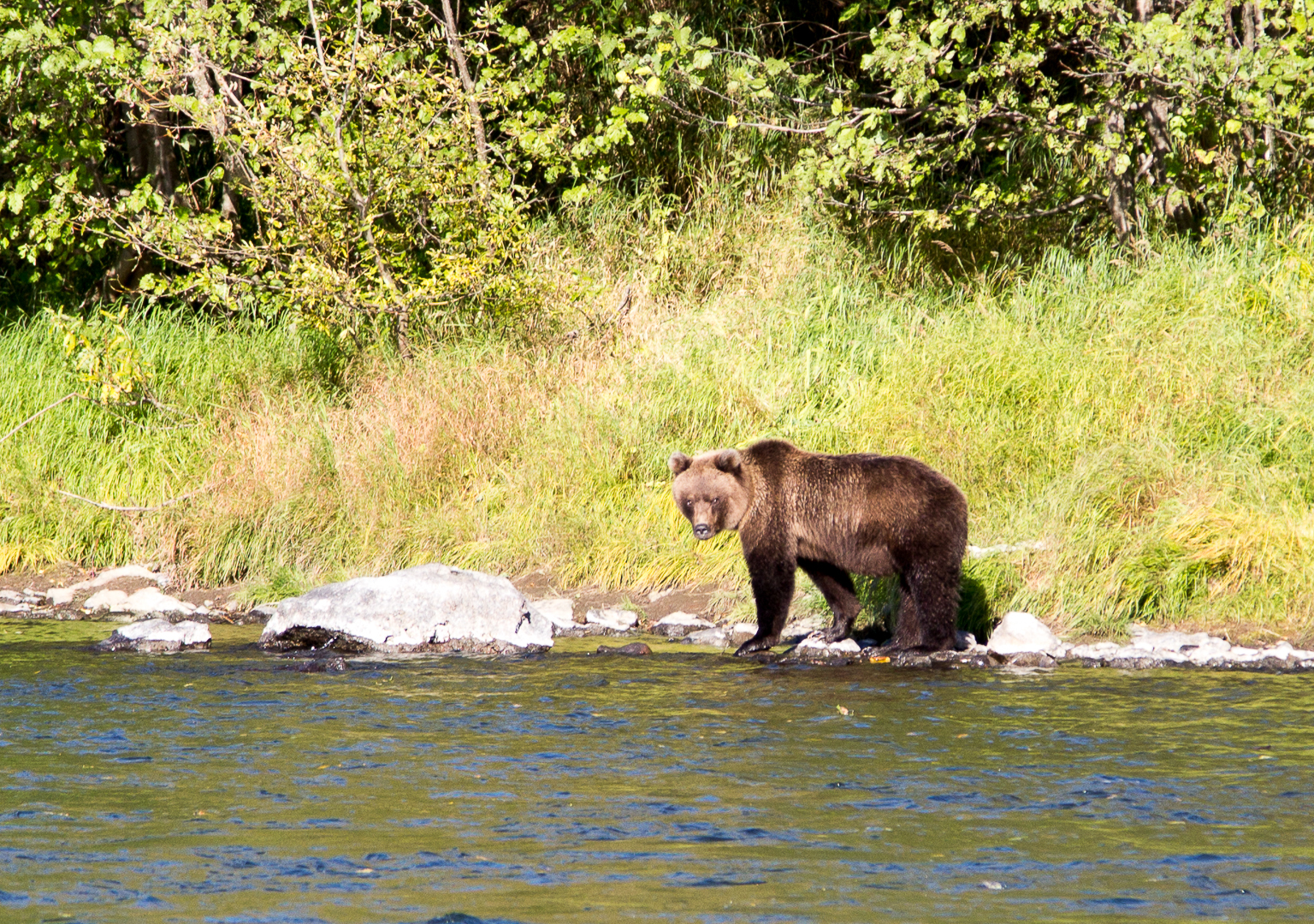 река Жупанова