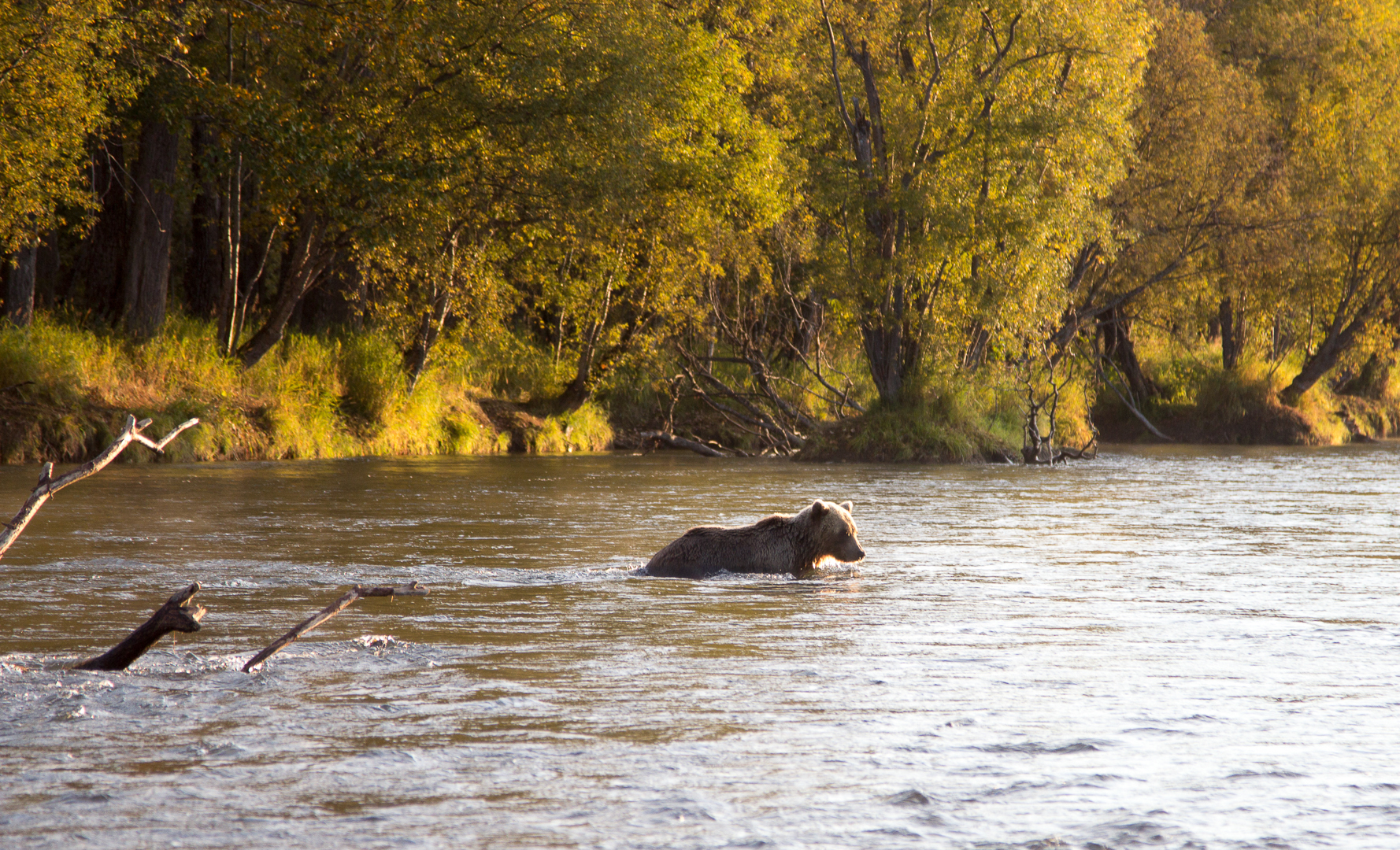 река Жупанова